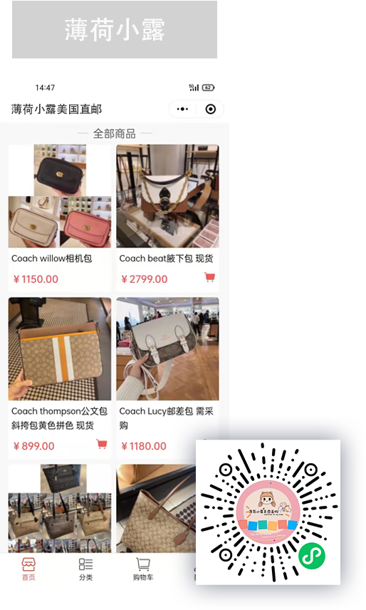 薄荷小露